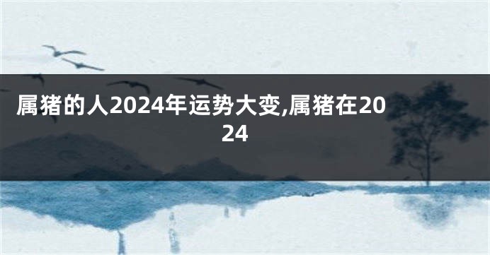 属猪的人2024年运势大变,属猪在2024