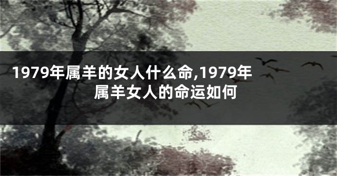 1979年属羊的女人什么命,1979年属羊女人的命运如何