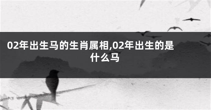 02年出生马的生肖属相,02年出生的是什么马