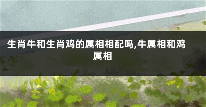 生肖牛和生肖鸡的属相相配吗,牛属相和鸡属相