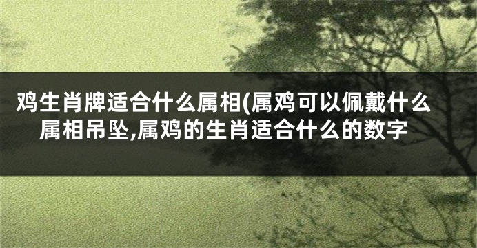 鸡生肖牌适合什么属相(属鸡可以佩戴什么属相吊坠,属鸡的生肖适合什么的数字