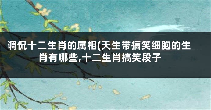 调侃十二生肖的属相(天生带搞笑细胞的生肖有哪些,十二生肖搞笑段子