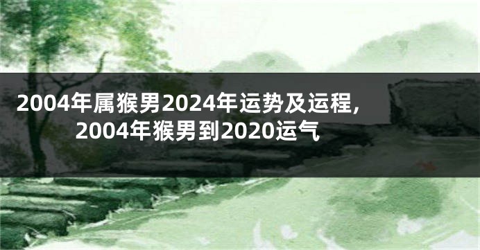 2004年属猴男2024年运势及运程,2004年猴男到2020运气