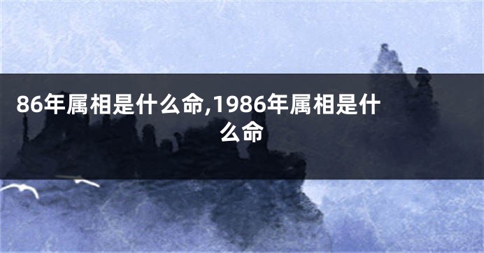 86年属相是什么命,1986年属相是什么命