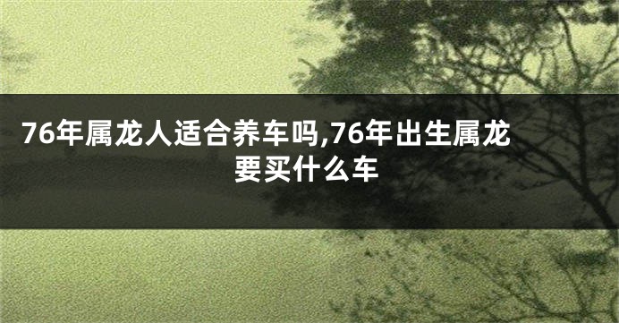 76年属龙人适合养车吗,76年出生属龙要买什么车