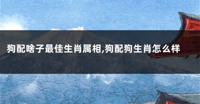 狗配啥子最佳生肖属相,狗配狗生肖怎么样