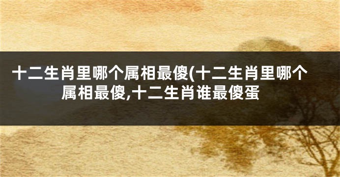 十二生肖里哪个属相最傻(十二生肖里哪个属相最傻,十二生肖谁最傻蛋