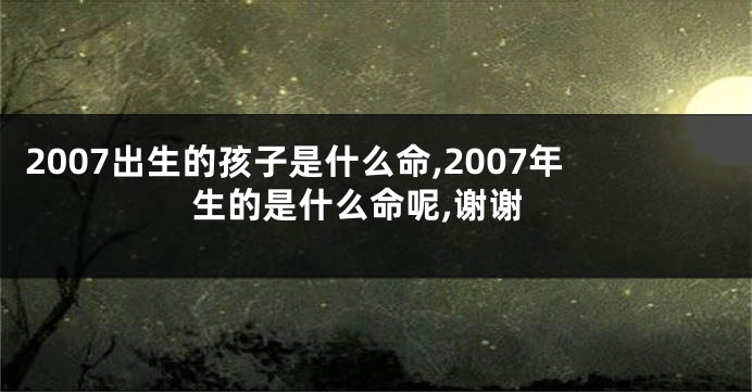 2007出生的孩子是什么命,2007年生的是什么命呢,谢谢