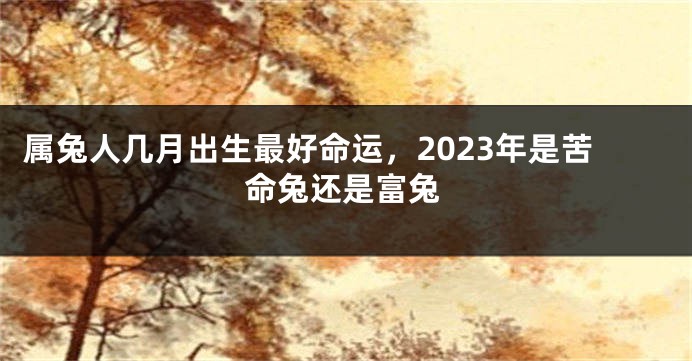 属兔人几月出生最好命运，2023年是苦命兔还是富兔