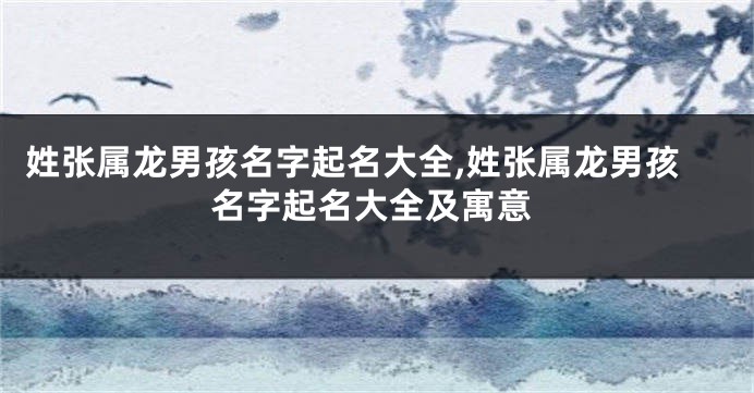 姓张属龙男孩名字起名大全,姓张属龙男孩名字起名大全及寓意