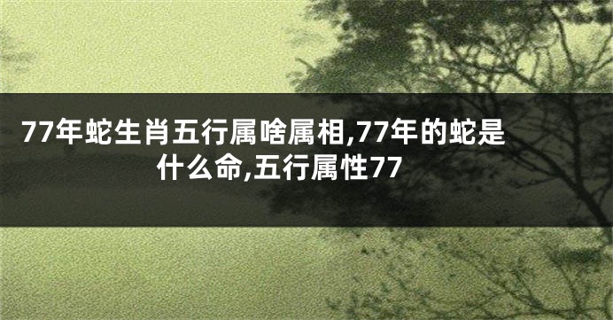 77年蛇生肖五行属啥属相,77年的蛇是什么命,五行属性77