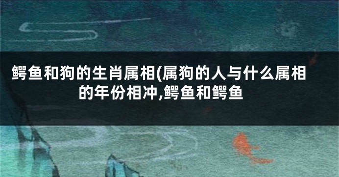 鳄鱼和狗的生肖属相(属狗的人与什么属相的年份相冲,鳄鱼和鳄鱼