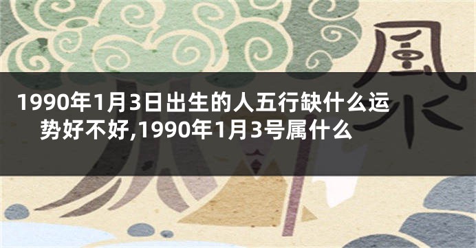 1990年1月3日出生的人五行缺什么运势好不好,1990年1月3号属什么