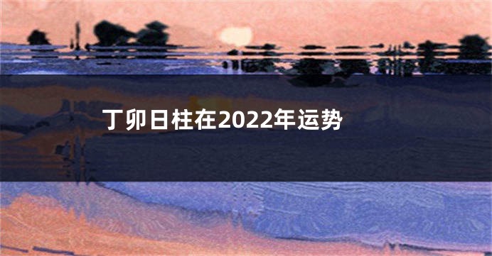 丁卯日柱在2022年运势