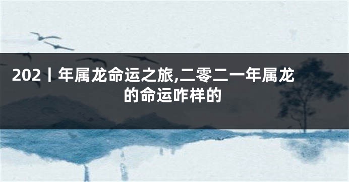 202丨年属龙命运之旅,二零二一年属龙的命运咋样的