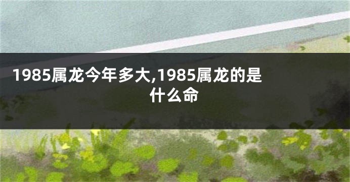 1985属龙今年多大,1985属龙的是什么命