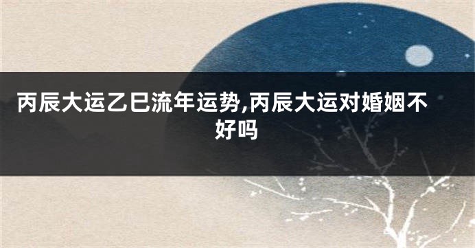 丙辰大运乙巳流年运势,丙辰大运对婚姻不好吗