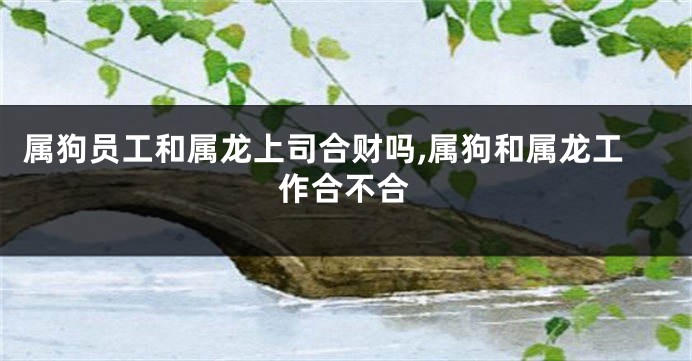 属狗员工和属龙上司合财吗,属狗和属龙工作合不合