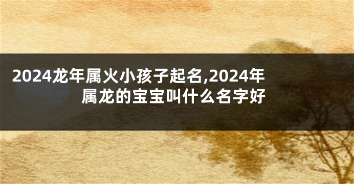 2024龙年属火小孩子起名,2024年属龙的宝宝叫什么名字好