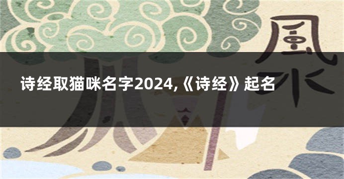 诗经取猫咪名字2024,《诗经》起名