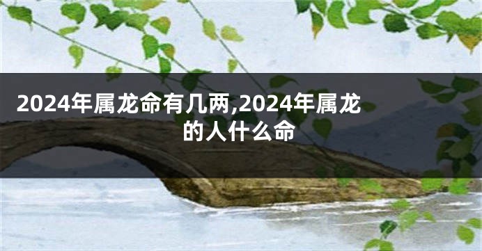 2024年属龙命有几两,2024年属龙的人什么命