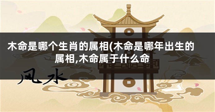 木命是哪个生肖的属相(木命是哪年出生的属相,木命属于什么命