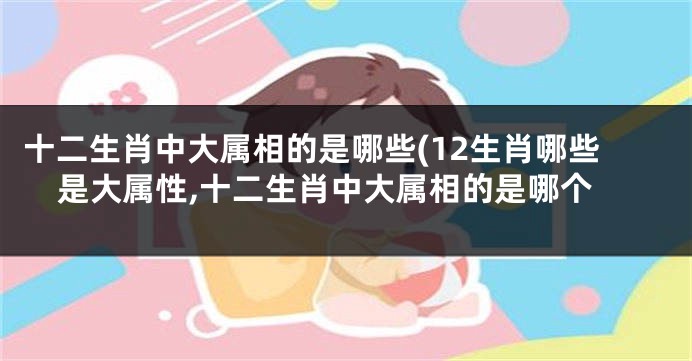 十二生肖中大属相的是哪些(12生肖哪些是大属性,十二生肖中大属相的是哪个