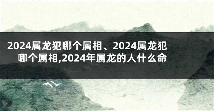 2024属龙犯哪个属相、2024属龙犯哪个属相,2024年属龙的人什么命