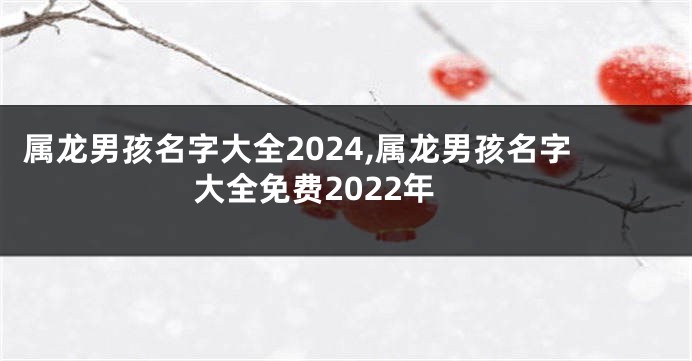 属龙男孩名字大全2024,属龙男孩名字大全免费2022年