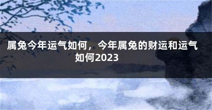 属兔今年运气如何，今年属兔的财运和运气如何2023