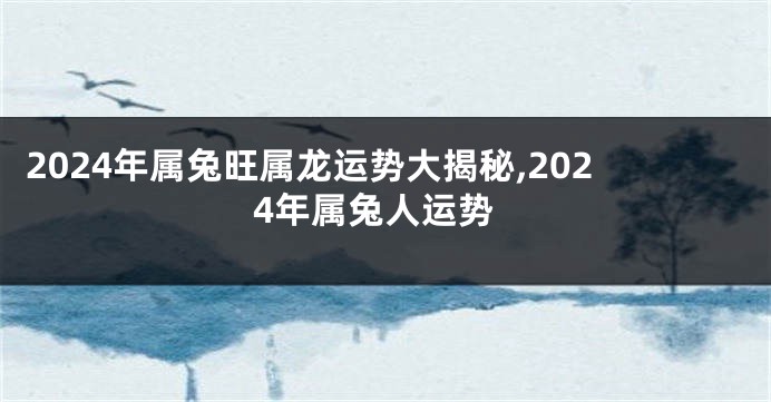 2024年属兔旺属龙运势大揭秘,2024年属兔人运势