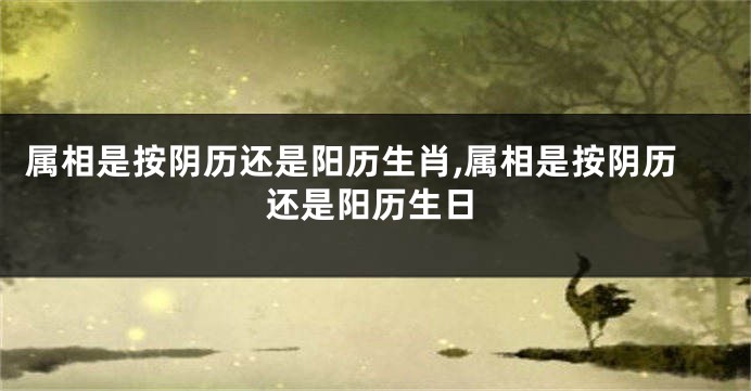 属相是按阴历还是阳历生肖,属相是按阴历还是阳历生日