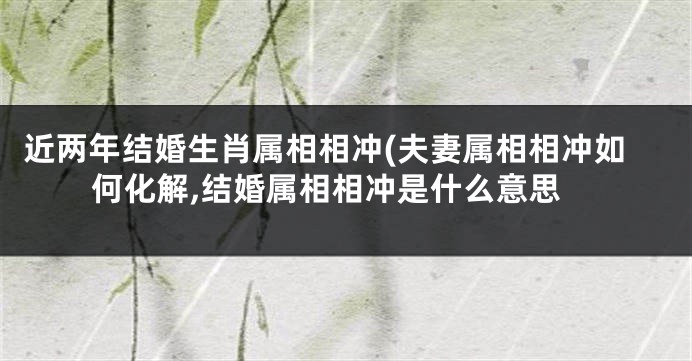 近两年结婚生肖属相相冲(夫妻属相相冲如何化解,结婚属相相冲是什么意思