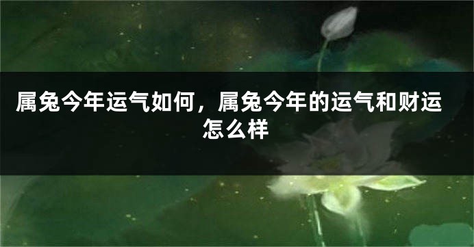 属兔今年运气如何，属兔今年的运气和财运怎么样