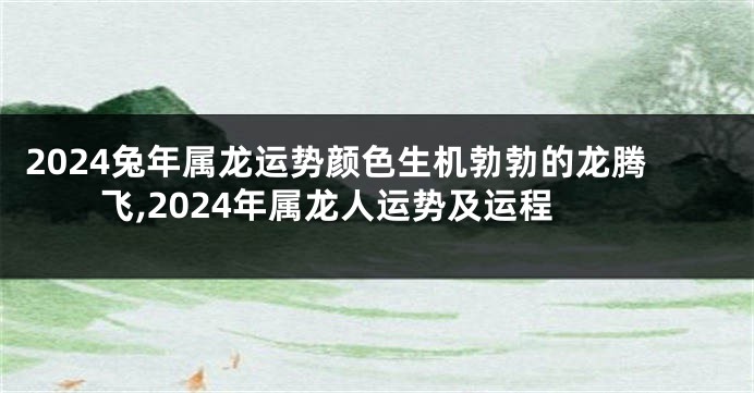 2024兔年属龙运势颜色生机勃勃的龙腾飞,2024年属龙人运势及运程