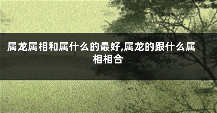 属龙属相和属什么的最好,属龙的跟什么属相相合