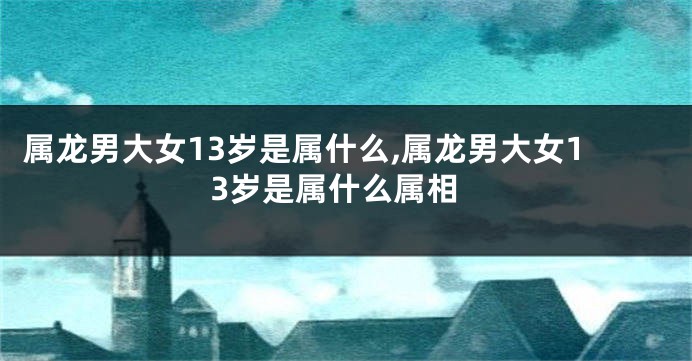 属龙男大女13岁是属什么,属龙男大女13岁是属什么属相