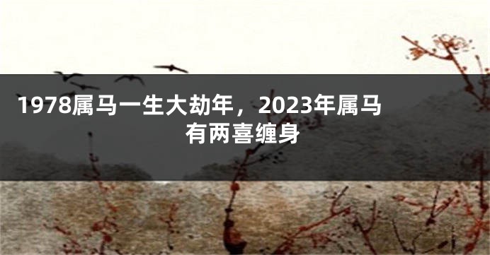 1978属马一生大劫年，2023年属马有两喜缠身