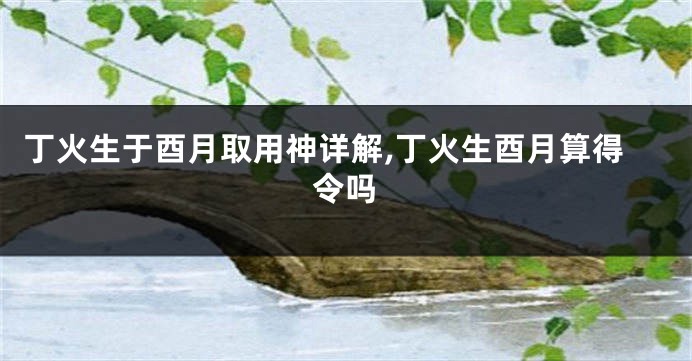 丁火生于酉月取用神详解,丁火生酉月算得令吗