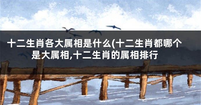 十二生肖各大属相是什么(十二生肖都哪个是大属相,十二生肖的属相排行