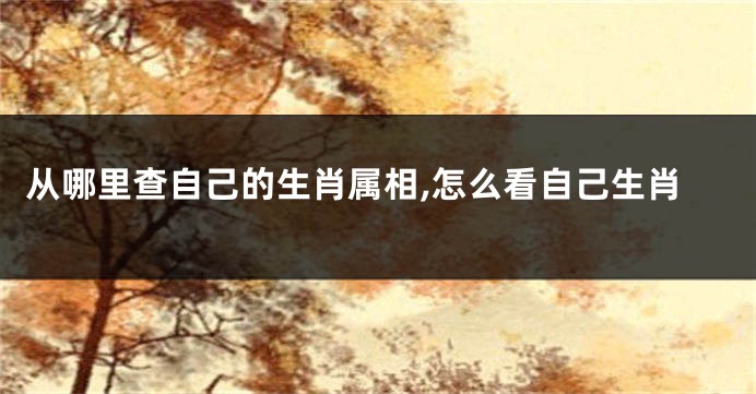 从哪里查自己的生肖属相,怎么看自己生肖