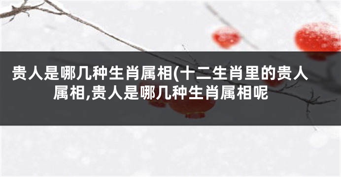 贵人是哪几种生肖属相(十二生肖里的贵人属相,贵人是哪几种生肖属相呢