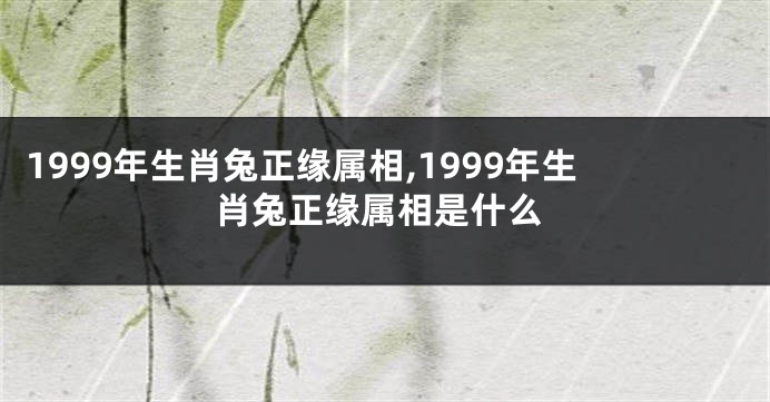 1999年生肖兔正缘属相,1999年生肖兔正缘属相是什么