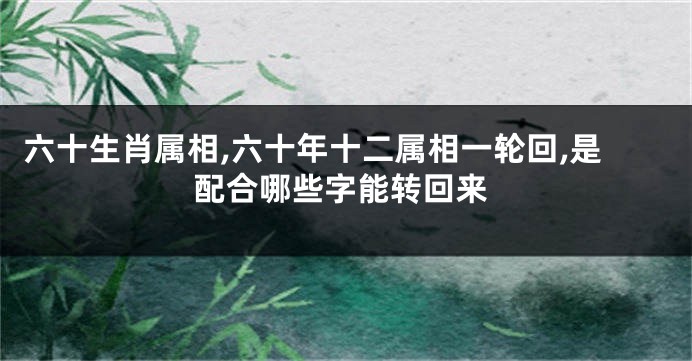 六十生肖属相,六十年十二属相一轮回,是配合哪些字能转回来