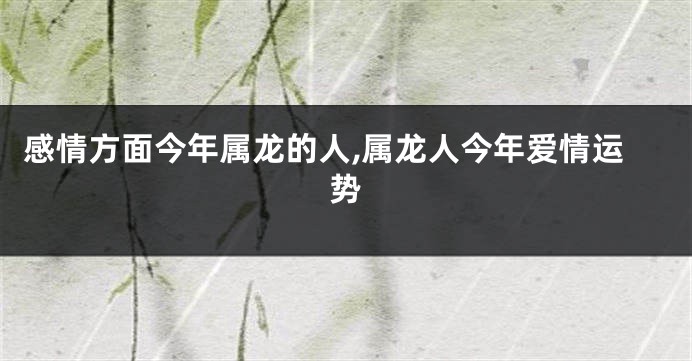 感情方面今年属龙的人,属龙人今年爱情运势