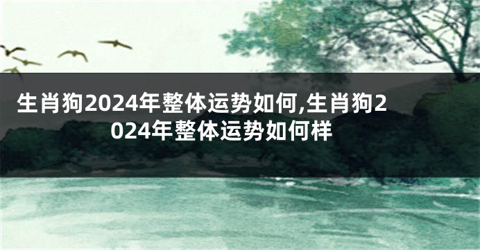 生肖狗2024年整体运势如何,生肖狗2024年整体运势如何样