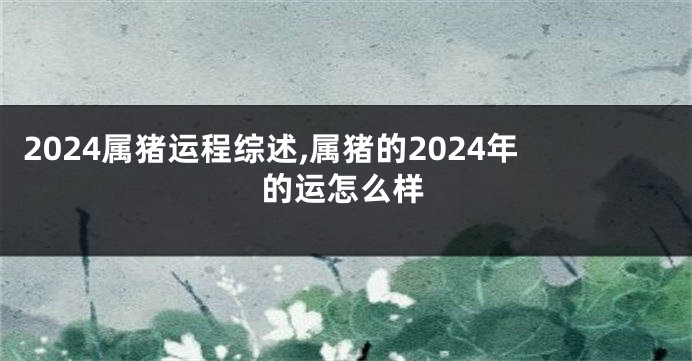 2024属猪运程综述,属猪的2024年的运怎么样