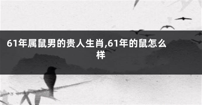 61年属鼠男的贵人生肖,61年的鼠怎么样