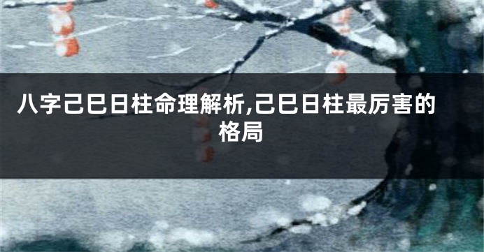 八字己巳日柱命理解析,己巳日柱最厉害的格局