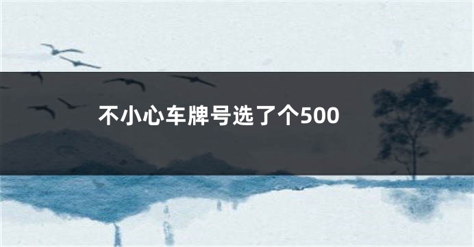 不小心车牌号选了个500